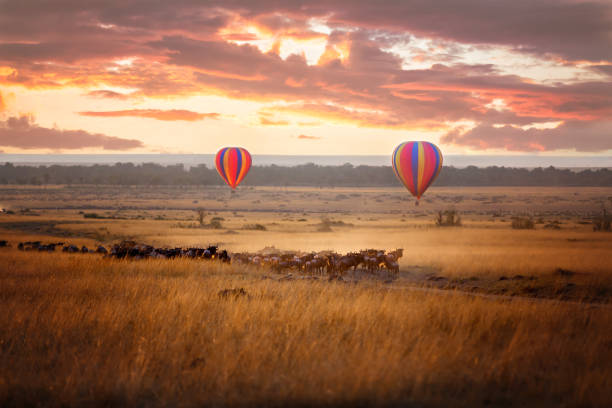 Maasai Mara landscape with hot air balloon